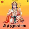 Om Han Hanumatye Namah